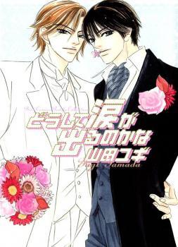 どうして涙が出るのかな [Doushite Namida ga Derunokana] (Paperback)