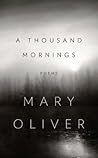 A Thousand Mornings