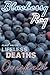 Blueberry Ray (Lifeless Dea...