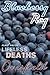 Blueberry Ray (Lifeless Deaths, #1)