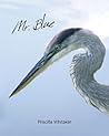 Mr. Blue