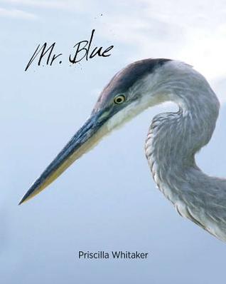 Mr. Blue