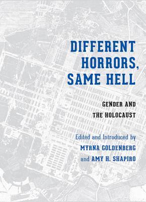 Different Horrors, Same Hell: Gender and the Holocaust (Hardcover)