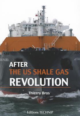 After the US Shale Gas Revolution