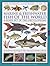 The Ultimate Illustrated Guide to Marine & Freshwater Fish of the World