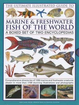 The Ultimate Illustrated Guide to Marine & Freshwater Fish of the World (Hardcover)