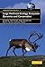 Large Herbivore Ecology, Ecosystem Dynamics and Conservation (Conservation Biology, Series Number 11)