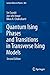 Quantum Ising Phases and Transitions in Transverse Ising Models (Lecture Notes in Physics, 862)