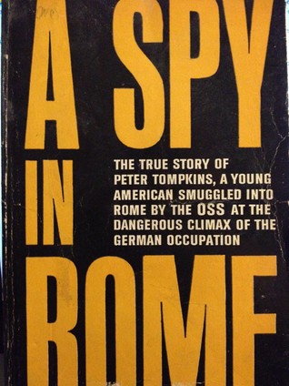 A Spy in Rome