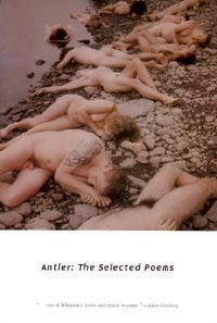The Selected Poems (Paperback)