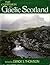 The Companion to Gaelic Sco...
