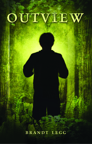 Capa do Livro Outview