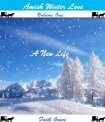 A New Life (Amish Winter Love #1)