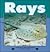 Rays (Nature Watch)