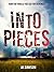 Into Pieces (Part Two)