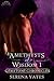 Amethysts of Wisdom 1 (Gemstone Chronicles, #2)