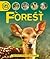 Life Cycles: Forest