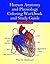 Human Anatomy & Physiology Coloring Workbook