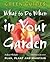 What to Do When in Your Garden (Green Guides)