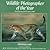 Wildlife Photographer of the Year by Helen Gilks