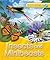 Insects and Minibeasts