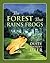The Forest That Rains Frogs