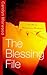 The Blessing File: A Lyn Blessing Crime Thriller