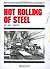 Hot Rolling of Steel (Manufacturing Engineering and Materials Processing)