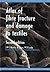 Atlas of Fibre Fracture and Damage to Textiles