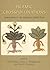 Islamic Crosspollinations: Interactions in the Medieval Middle East (Gibb Memorial Trust)