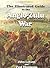 Illustrated Guide to the Anglo-Zulu War