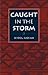 Caught in the Storm [a novel] by Seydou Badian