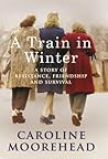 Train in Winter: ...