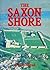 Saxon Shore: A Handbook (Exeter Studies in History)