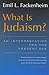 What Is Judaism? An Interpretation for the Present Age (Library of Jewish Philosophy)