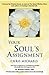 Your Soul's Assignment by Chris Michaels