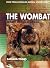 The Wombat: Common Wombats ...