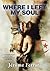 Where I Left My Soul by Jérôme Ferrari