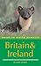 Where To Watch Mammals In Britain And Ireland
