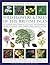 The Illustrated Encyclopedia of Wild Flowers & Trees of the British Isles: An Authoritative Guide to 650 Native and Introduced Species of Flowers, Trees, Shrubs, Herbs, Grasses & Weeds