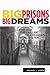 Big Prisons, Big Dreams: Crime and the Failure of America's Penal System (Critical Issues in Crime and Society)