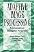 Adaptive Image Processing: A Computational Intelligence Perspective (Image Processing Series)