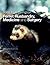 Ferret Husbandry, Medicine and Surgery