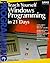 Teach Yourself Windows Programming in 21 Days by Charlie Calvert