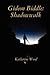 Shadowwalk (Gideon Biddle Chronicles #1)