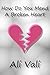 How Do You Mend A Broken Heart by Ali Vali