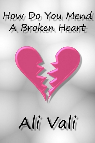 How Do You Mend A Broken Heart (Harry & Desi, #1)