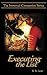 Executing the List (Immortal Companion #2)