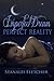 Imperfect Dream~Perfect Reality