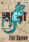 Book cover for Last Right